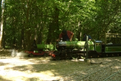 The-Manor-Railway-12-06-2005-Fete-Day0053