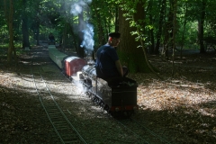 DSC2330
