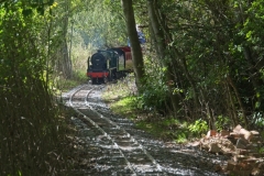 DSC2363