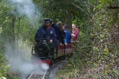 DSC2373