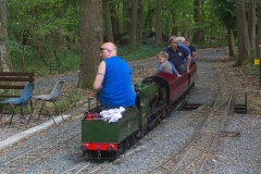 DSC2420