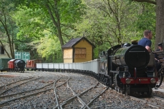 DSC2545