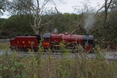 DSC4168