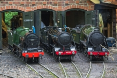DSC7685
