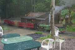 DSC9485