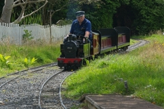 DSC9767