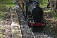 DSC9786