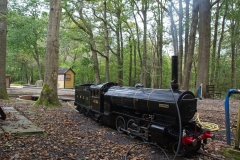 DSC2459