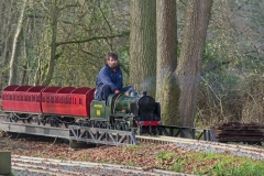 DSC3197