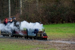 DSC3231