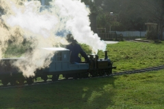 DSC3239