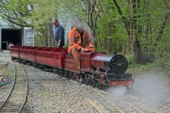 DSC5539