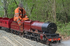 DSC5541