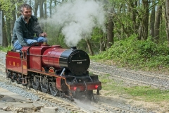 DSC5551