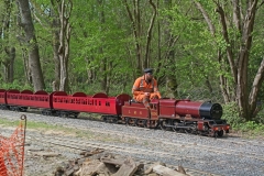 DSC5563