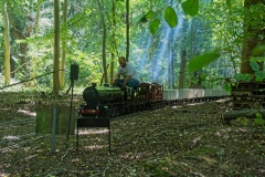 DSC7966