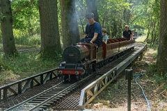 DSC8010