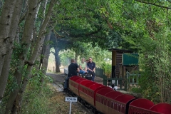 DSC8066