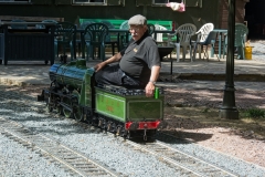 DSC8194
