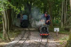 4701 in steam running along the stretch of line going through the woodland.